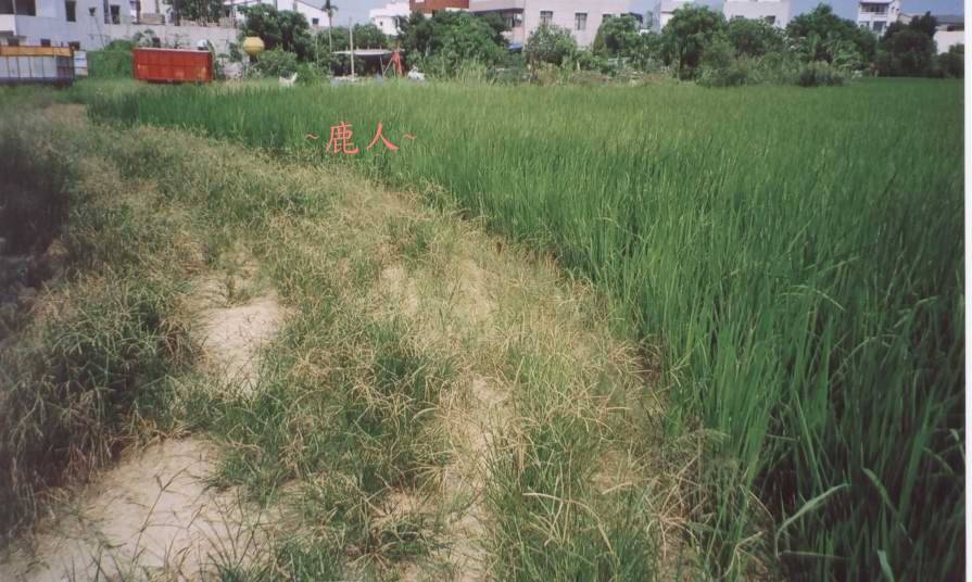 平崗穴22_5.jpg
