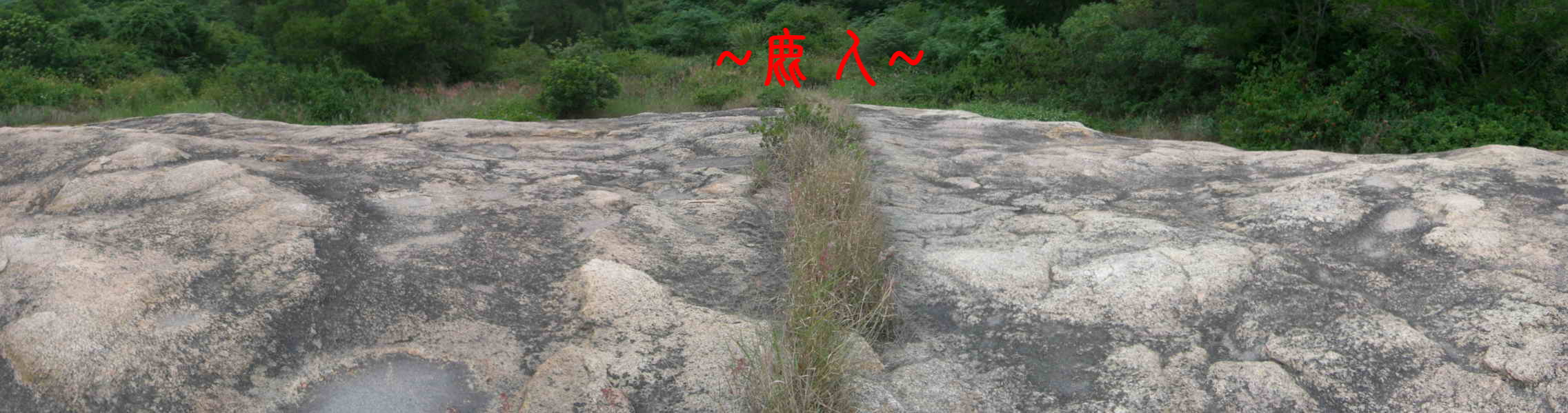 巨石.JPG