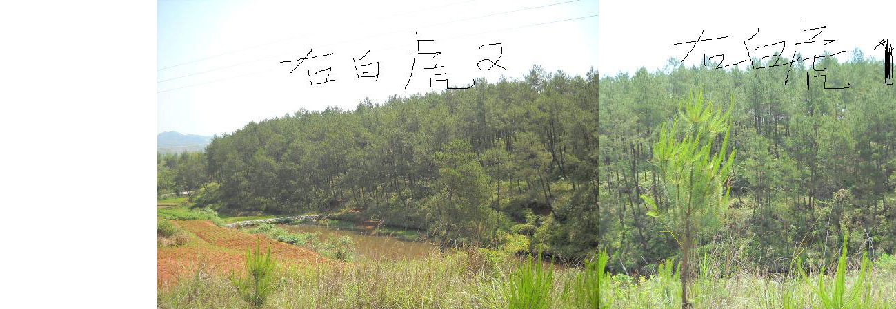 未标题-01.jpg
