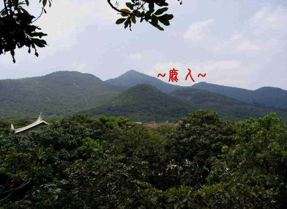 玉樹林風118.jpg