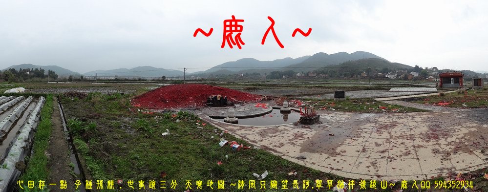 田雞浮塘_05.JPG