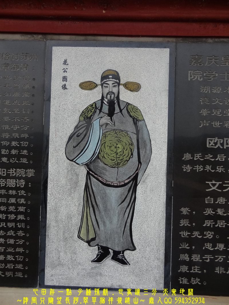 田雞浮塘_04.JPG