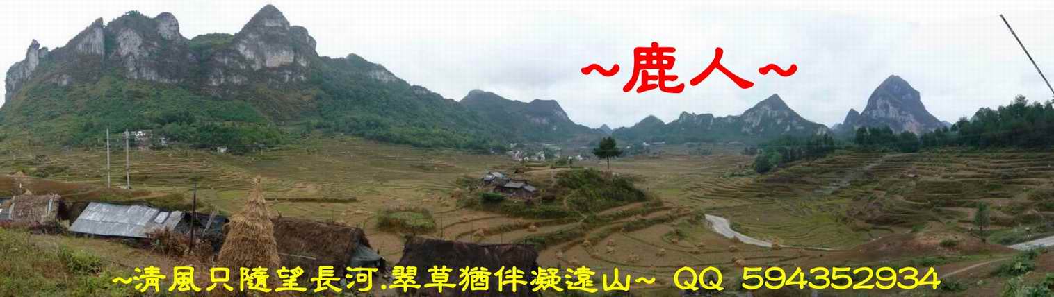 石山中尋_001.jpg