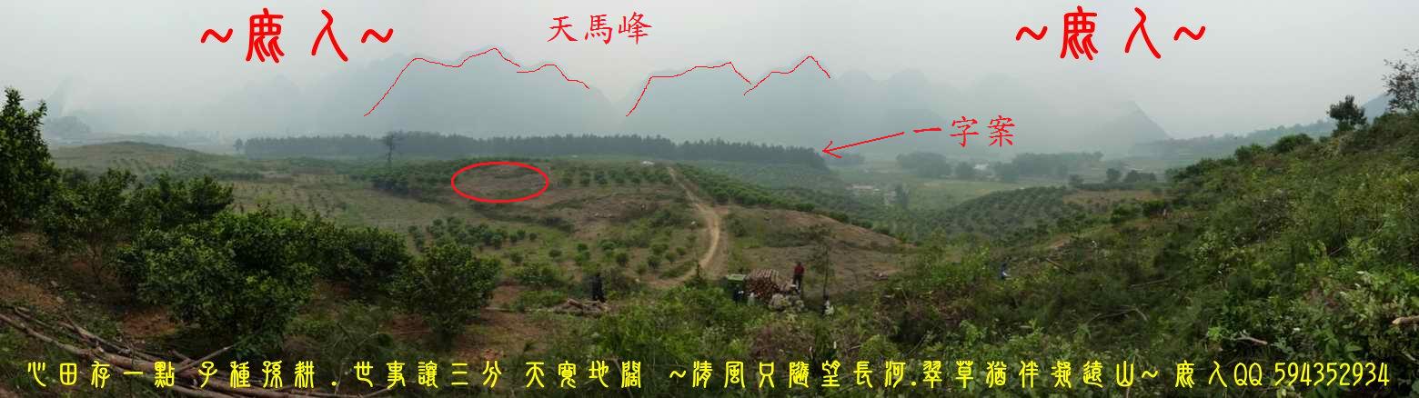 石山叢.jpg
