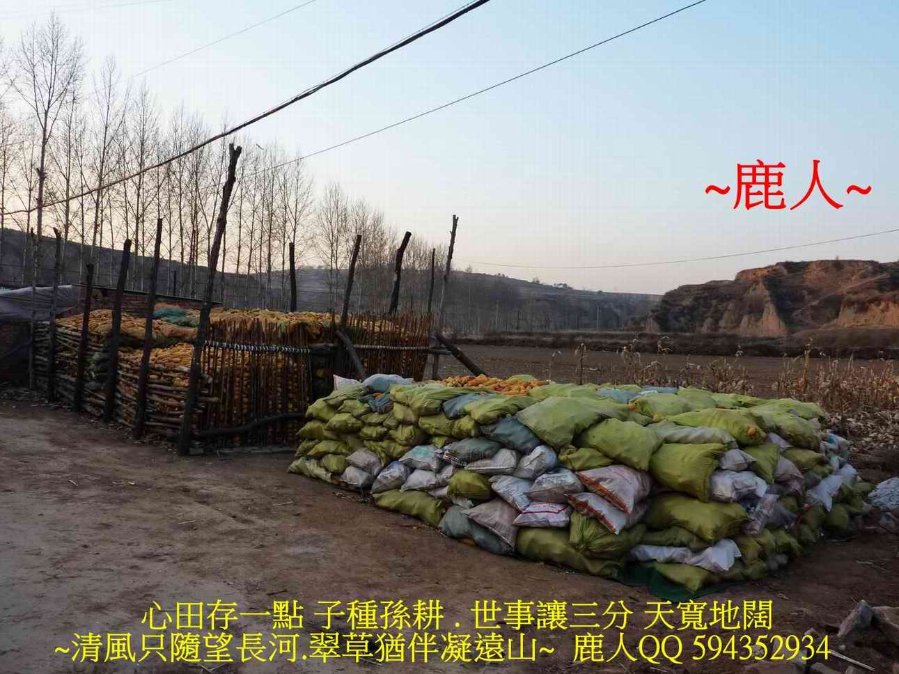 再走太行山脈_2.JPG