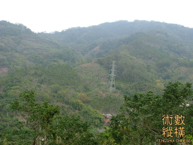 再近一點看抽脈.jpg