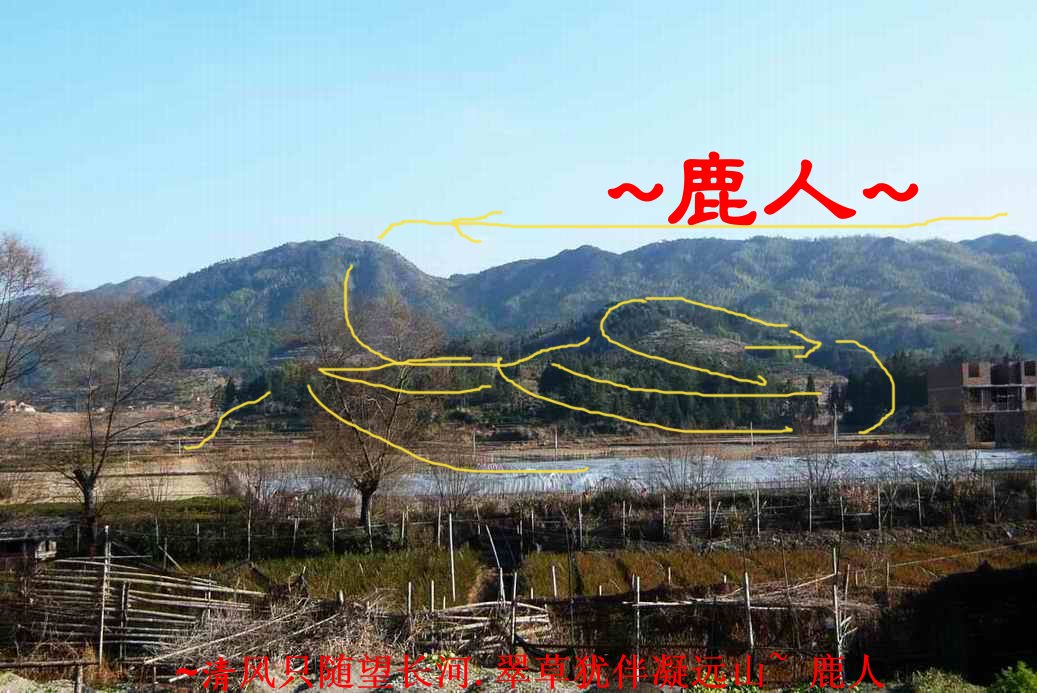 回_3_2(標線).JPG
