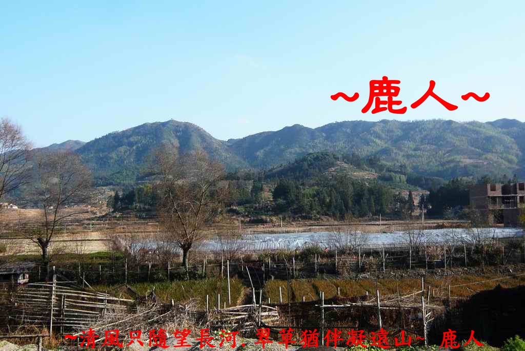 回_3.JPG