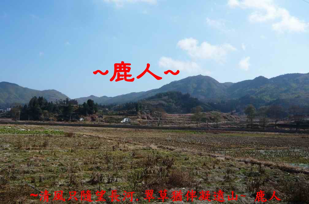 回_5.JPG