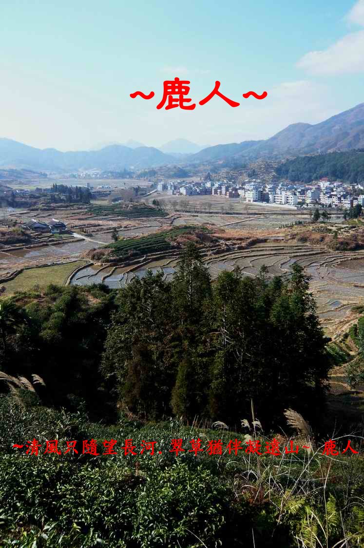 回_6.JPG