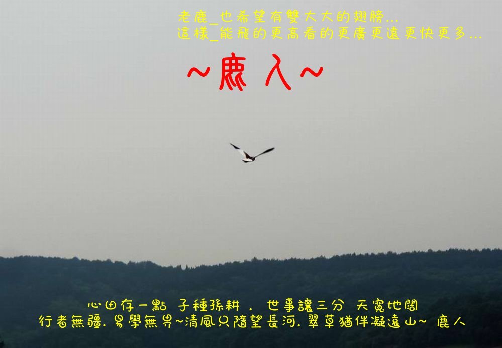 回頭望_湘帥_01.JPG