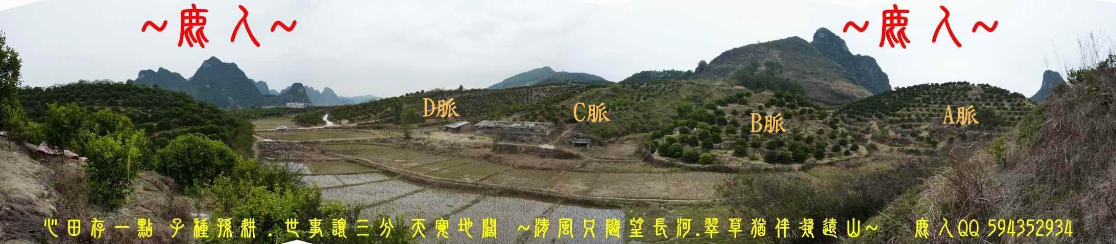 回頭選擇_00.JPG