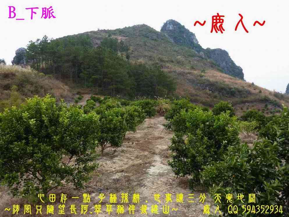 回頭選擇_B_下脈.JPG