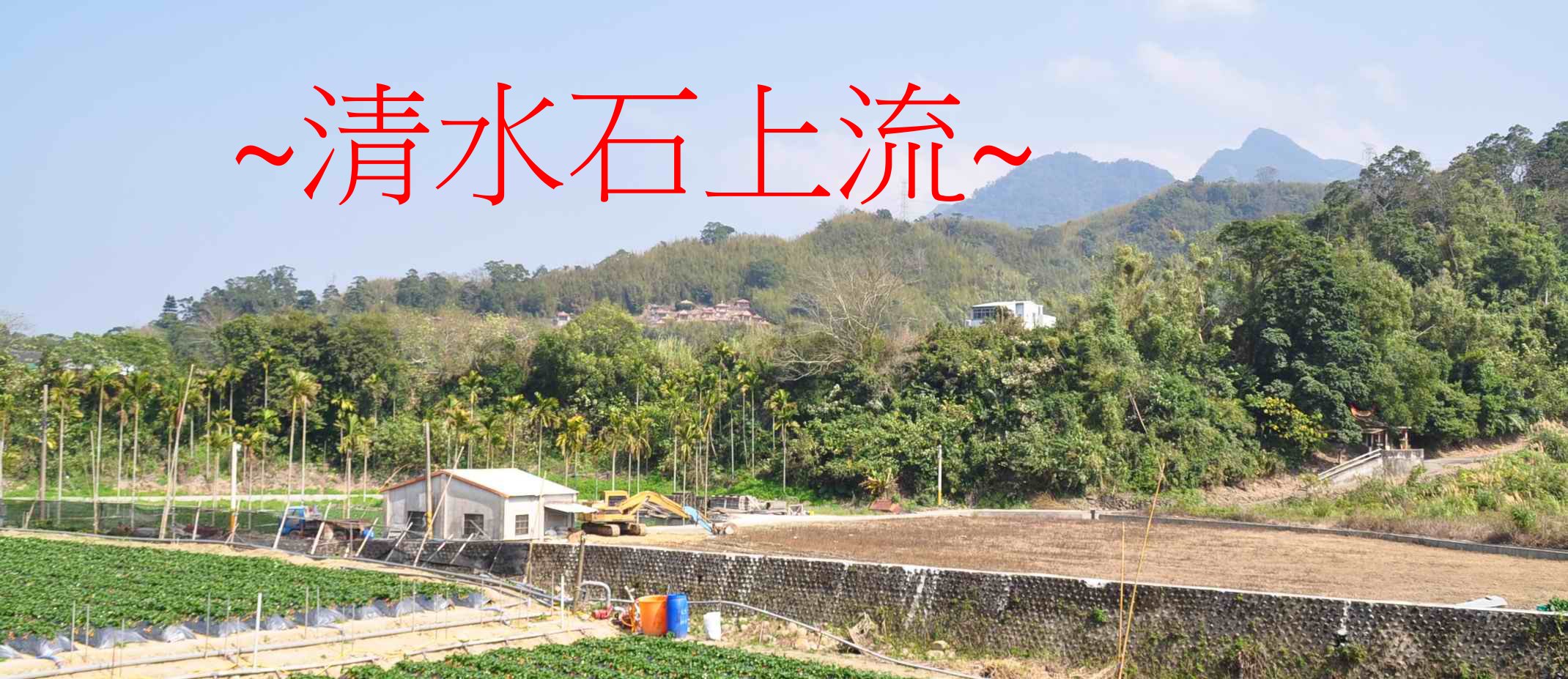 地.jpg