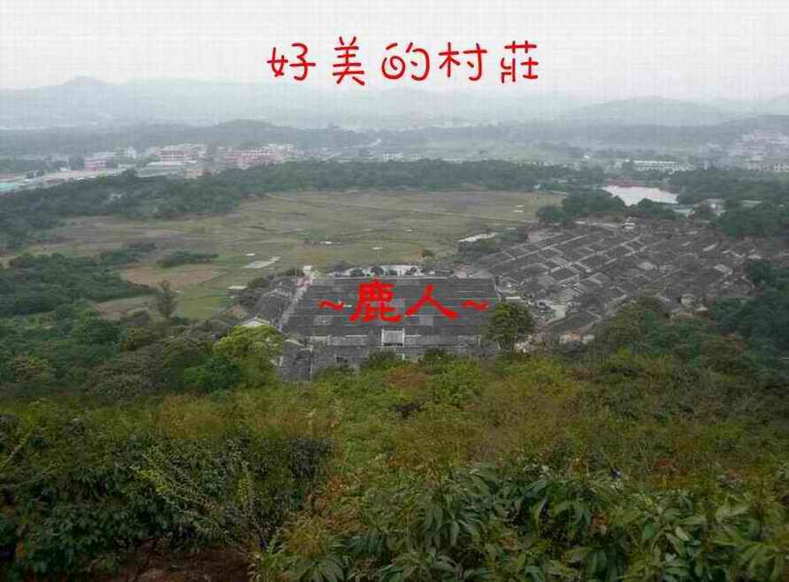地(一)好美的村莊~在穴星頂看堂局照.JPG