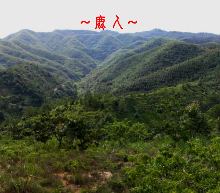 在朝案上看穴山照.jpg