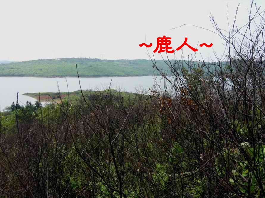 江西一靚土_5星上看虎方.JPG