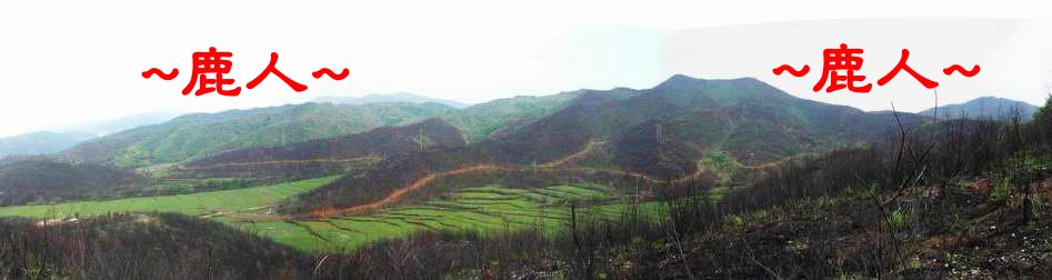 江西一靚土_3由星頂側看來龍與父母山.JPG