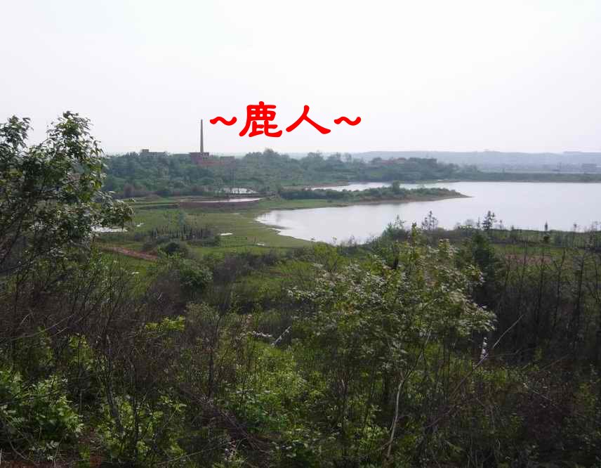 江西一靚土_4星上看龍方.JPG