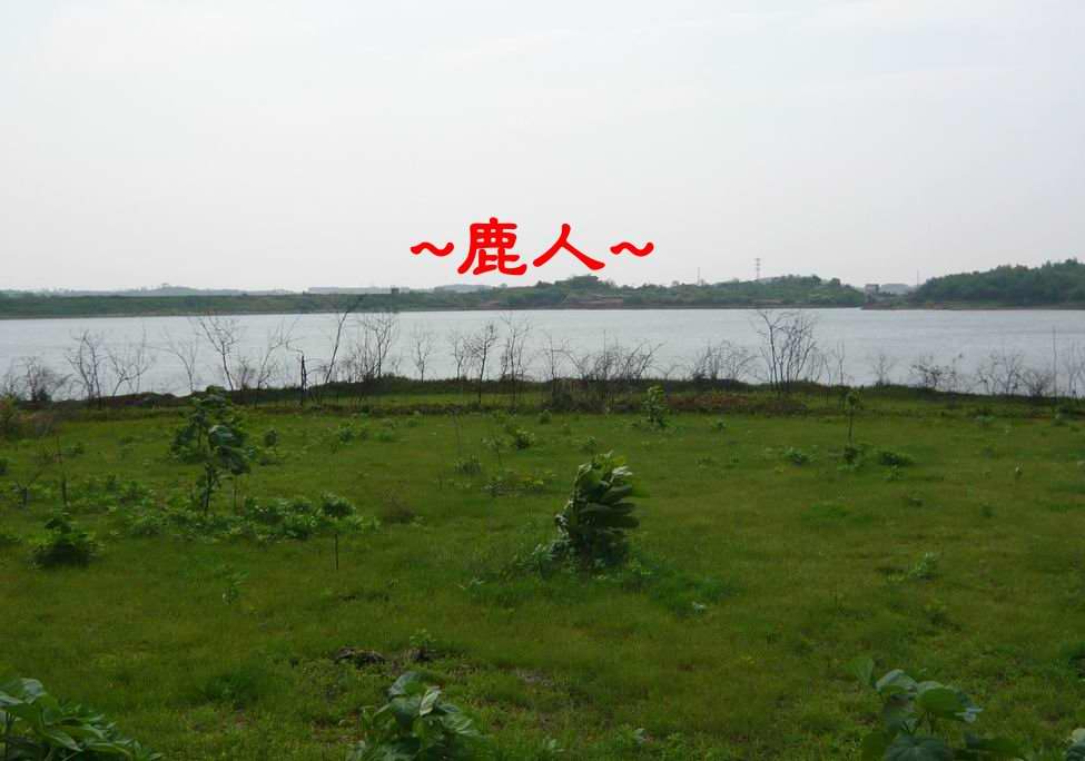 江西一靚土_7看唇與朝.JPG
