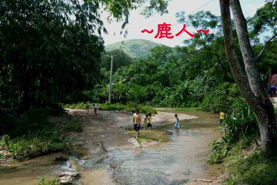 老鹿千里尋真跡(三)_14.JPG