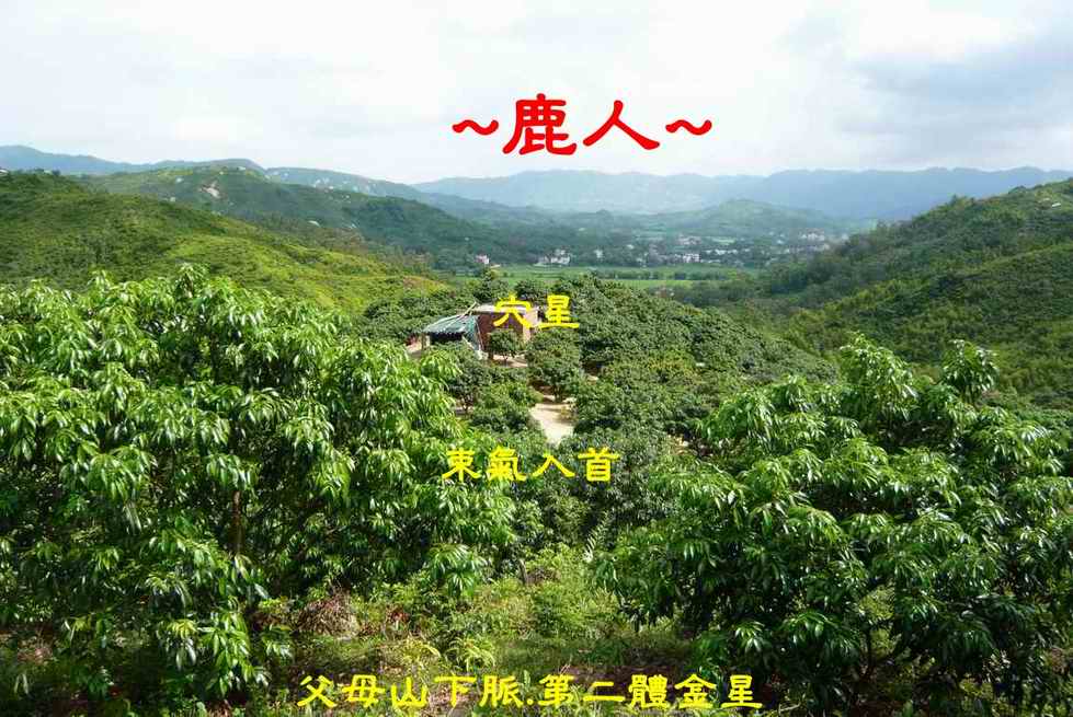 老鹿千里尋真跡(三)_11.JPG