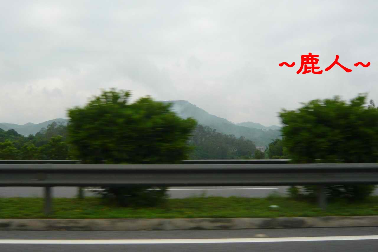 老鹿千里尋真跡(三)_1.JPG
