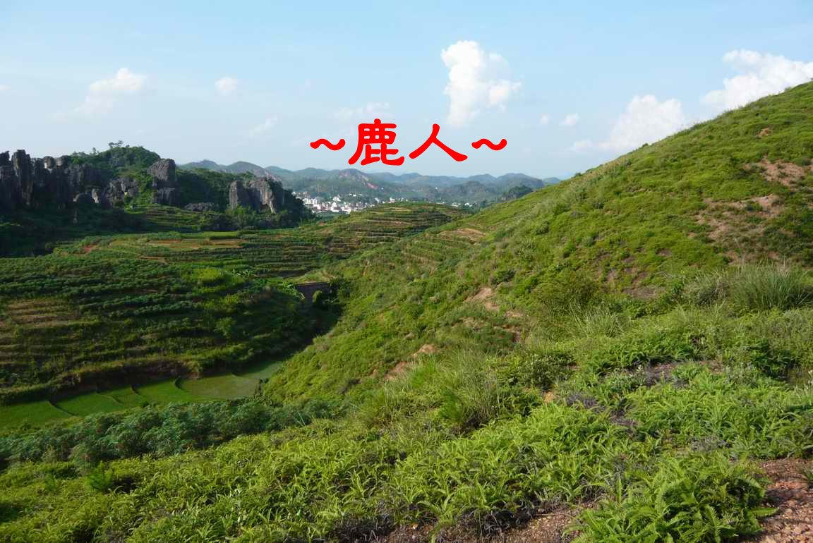 老鹿千里尋真跡(一)_4.JPG