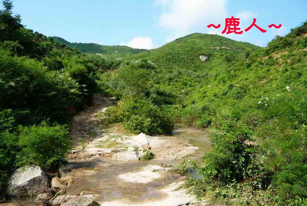 老鹿千里尋真跡(三)_12.JPG