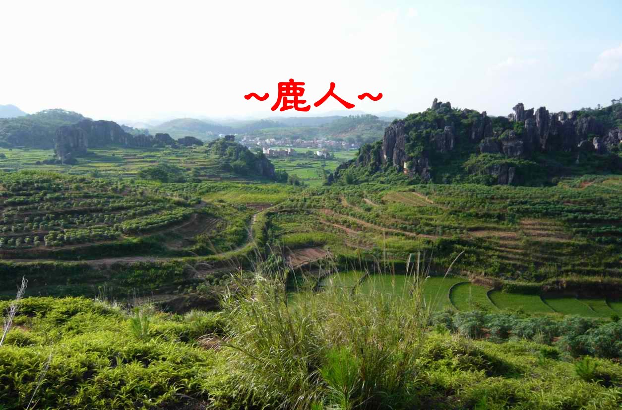 老鹿千里尋真跡(一)_6.JPG