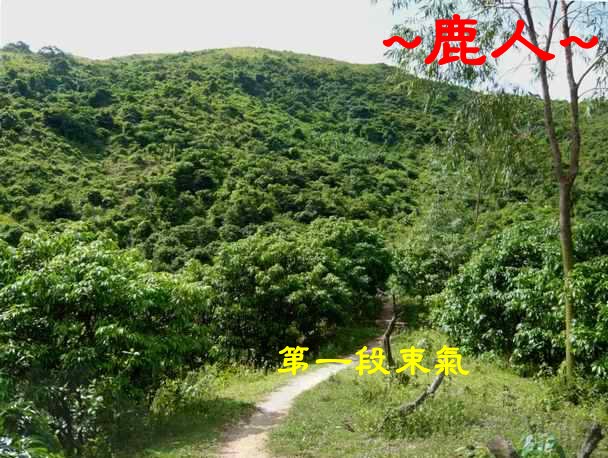 老鹿千里尋真跡(三)_8.JPG