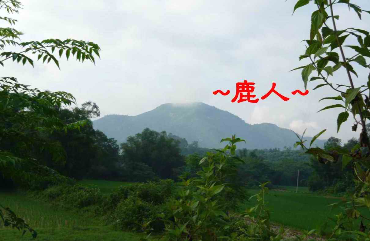 老鹿千里尋真跡(三)_3.JPG