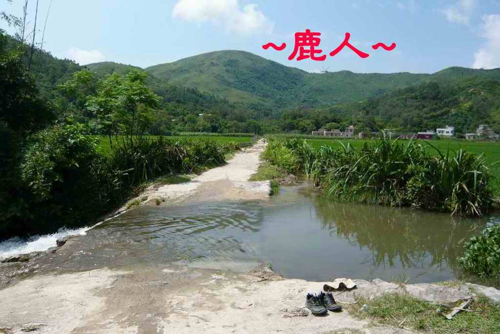 老鹿千里尋真跡(三)_16.JPG