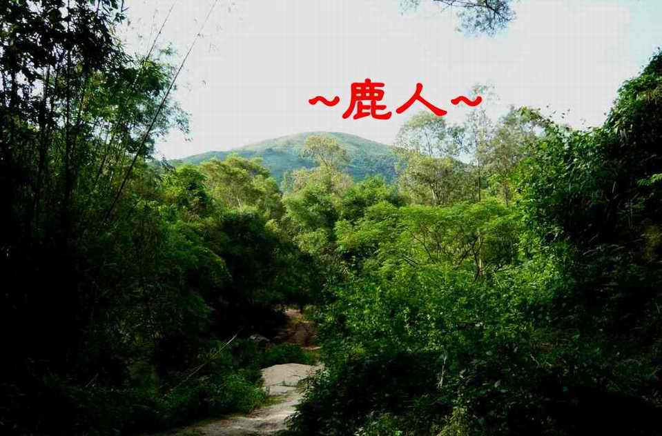 老鹿千里尋真跡(三)_7.JPG