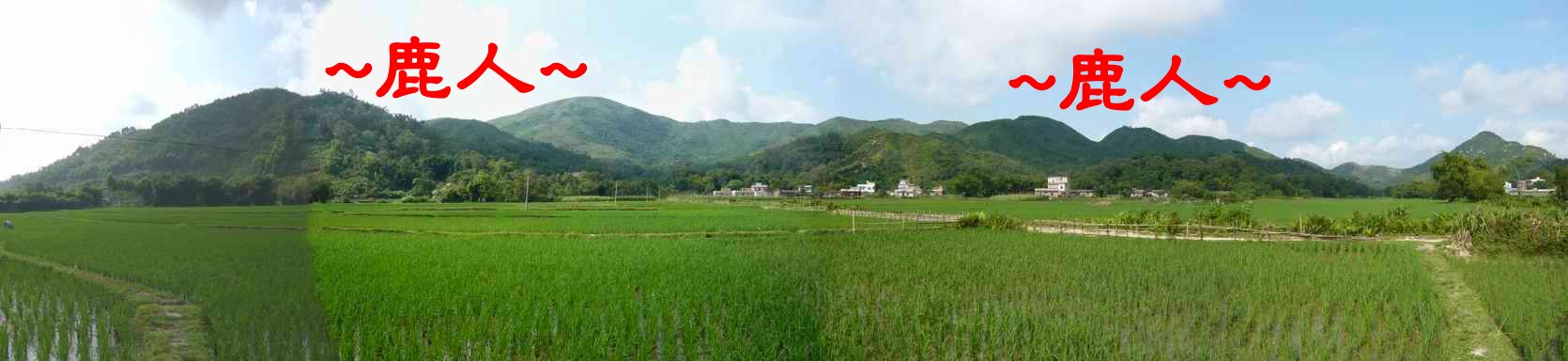 老鹿千里尋真跡(三)_6_1.JPG