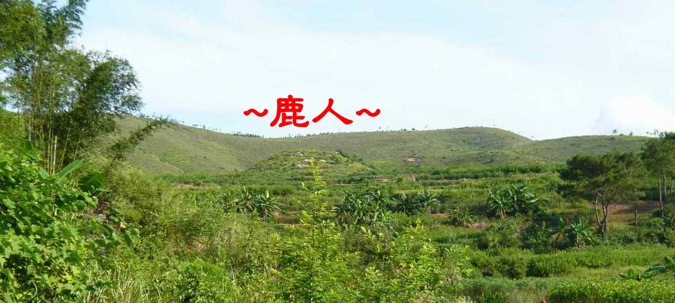老鹿千里尋真跡(一)_5.JPG