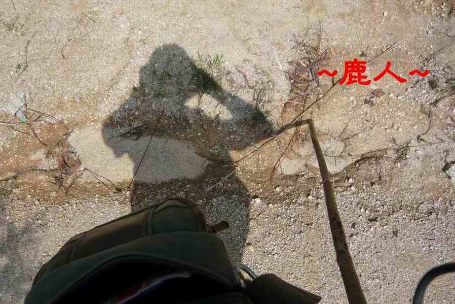老鹿千里尋真跡(三)_15.JPG