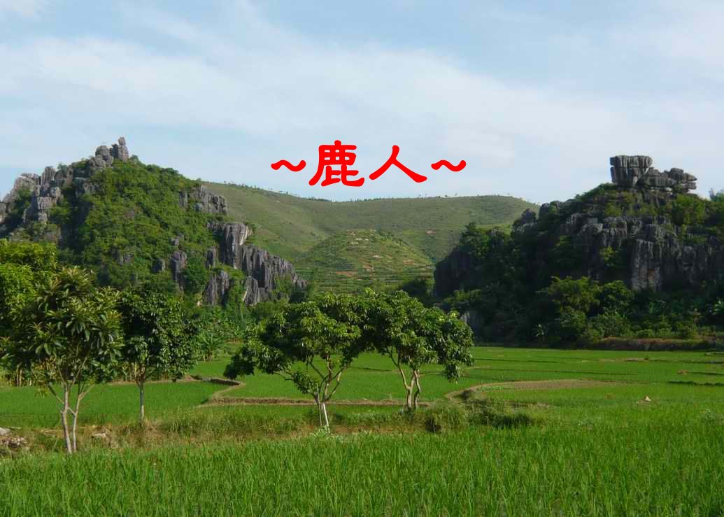老鹿千里尋真跡(一)_1.JPG