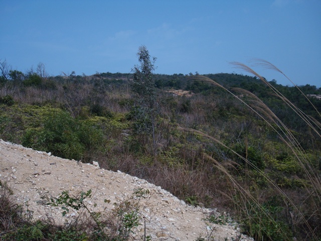 青龙1.JPG