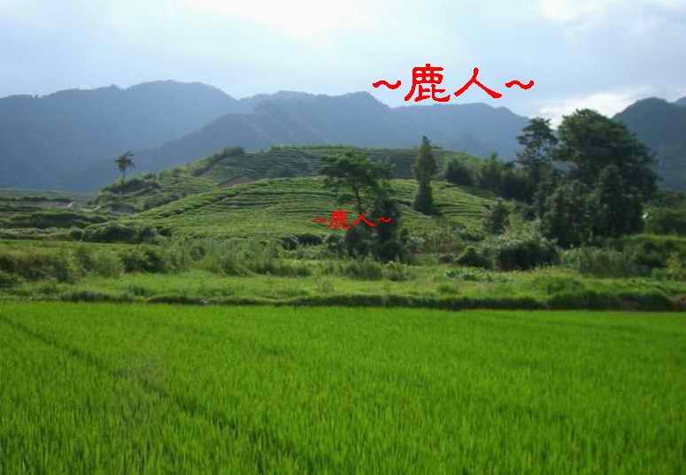 青天綠地一片.JPG