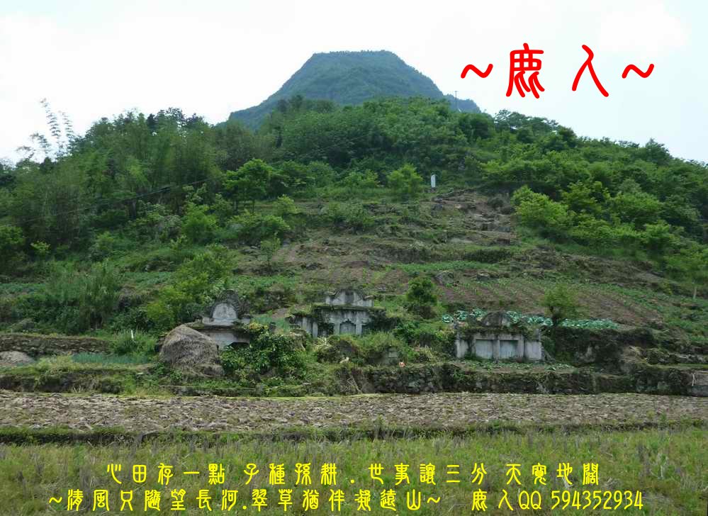 亭土_03.JPG