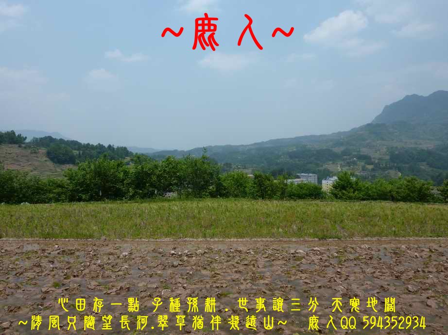 亭土_07.JPG