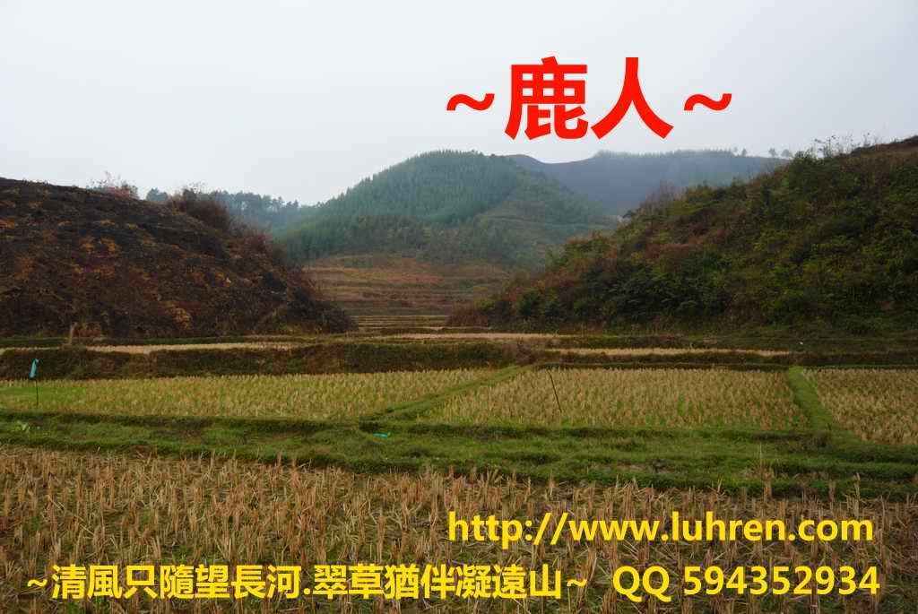 城門_01.JPG