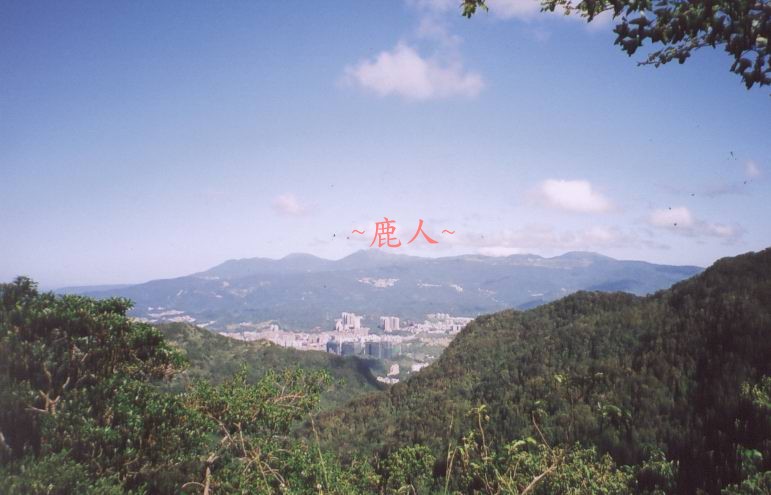 秀靚_4.jpg