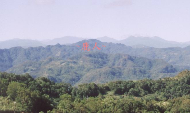 秀靚_3.jpg