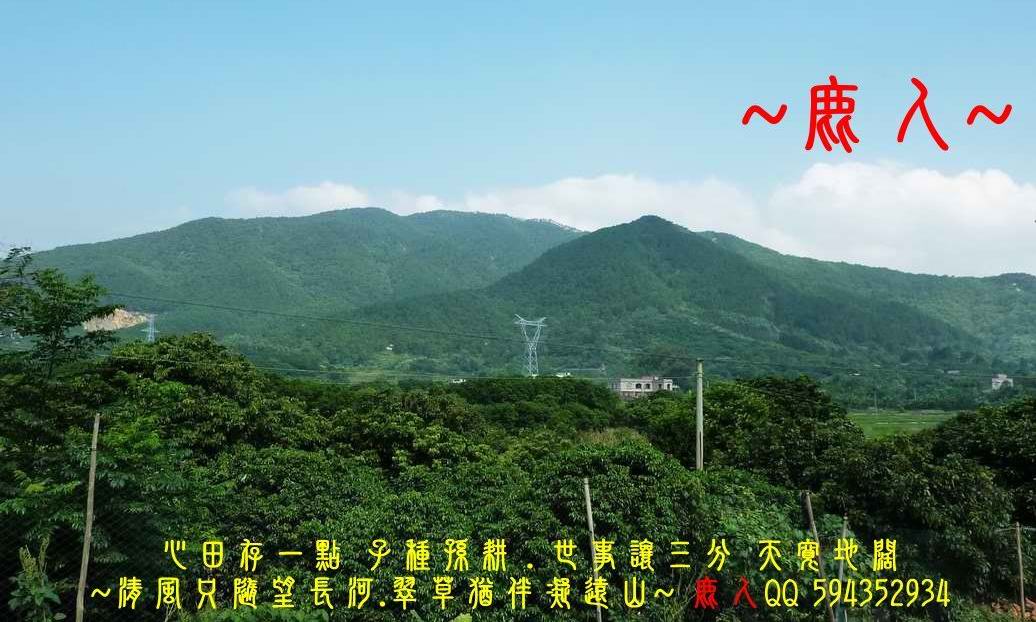走.jpg