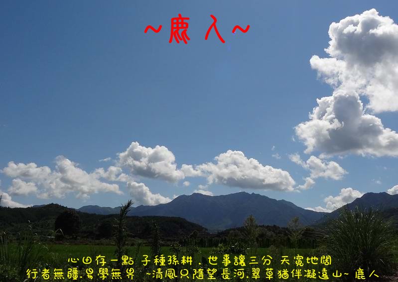 走過蓮花田_07.JPG