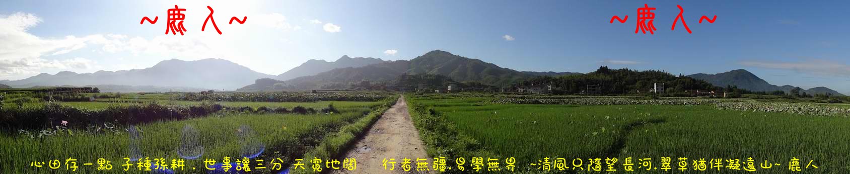 走過蓮花田_01.JPG