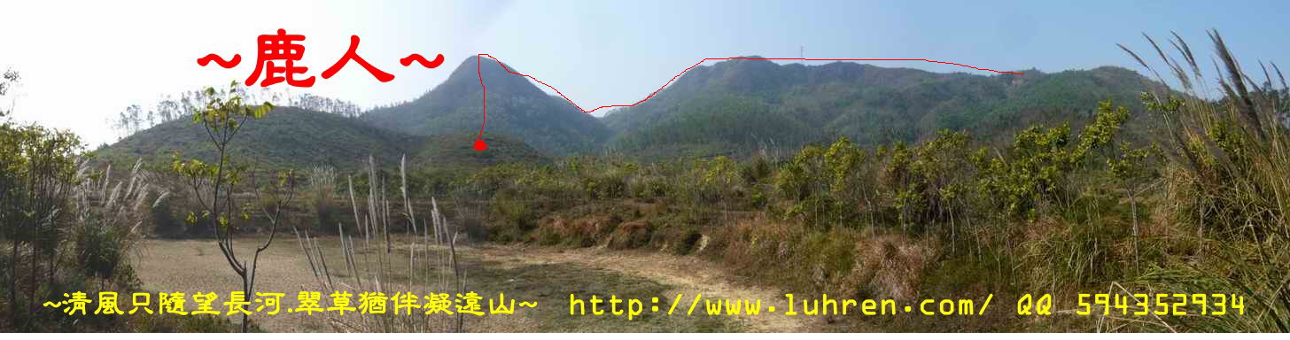 奇特穴山.JPG