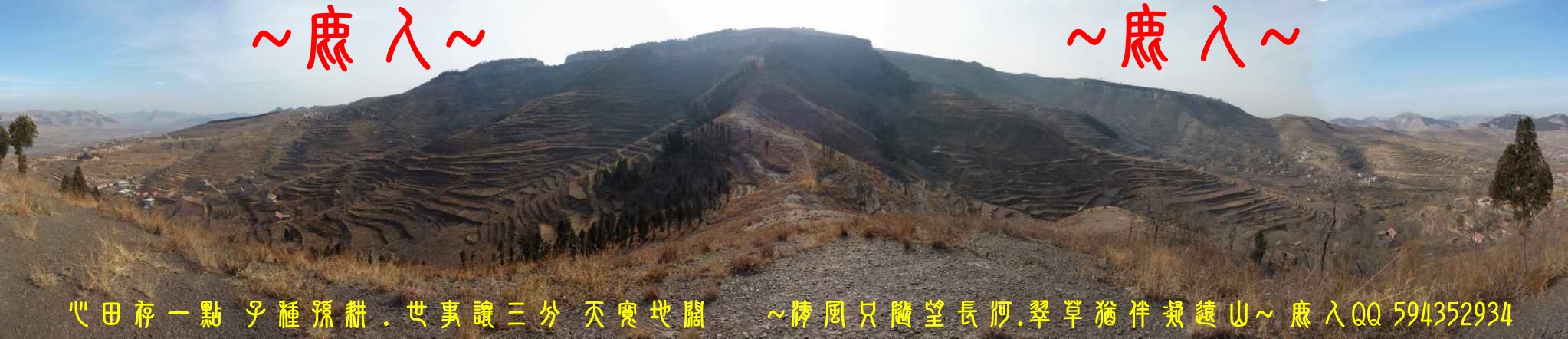 季冬賞北龍_02.JPG